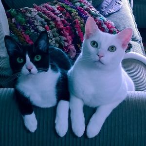 Meet your Posher, Nicole